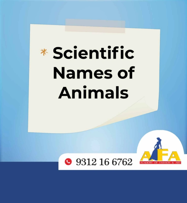 Animals Scientific Names